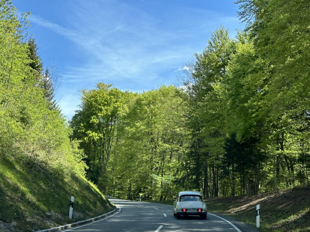 learning-to-drive-as-an-adult-abby-mackessy-dupe